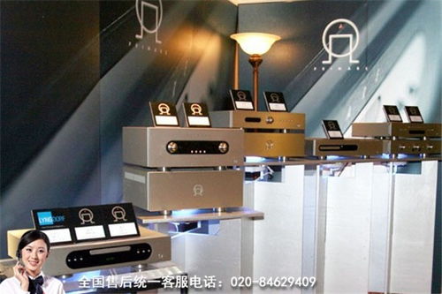 龍湖丹麥Davone CD機及樂器維修全國24小時服務(wù)